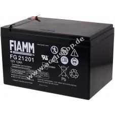 FIAMM Ersatzaccu fr Peg Perego / Notstromversorgung (USV) 12V 12Ah (baugleich 14Ah)