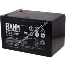 FIAMM Ersatzaccu fr Solaranlagen Hebebhnen Reinigungsmaschinen Notbeleuchtung Alarmanlage 12V 12Ah