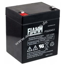 FIAMM Blei-Akku, Ersatzaccu kompatibel mit COMPAQ R5500XR HPC-R5500XR AGM Notstrom UPS
