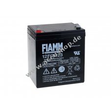 FIAMM Bleiaccu FGH20502 (hochstromfest)