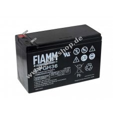FIAMM Bleiaccu FGH20902 12FGH36 (hochstromfest)