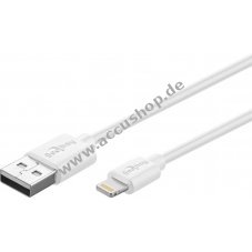 goobay Lightning MFi/USB Sync- und Ladekabel kompatibel mit Apple iPad 2017 (5. Gen.)